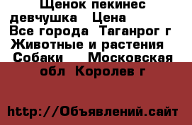 Щенок пекинес девчушка › Цена ­ 2 500 - Все города, Таганрог г. Животные и растения » Собаки   . Московская обл.,Королев г.